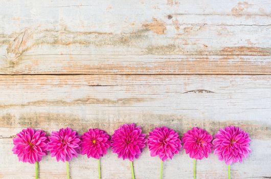 Border of pink summer garden flowers on rustic wooden background with copy space
