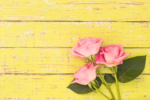 Bunch of pink roses on yellow wood background with copy space