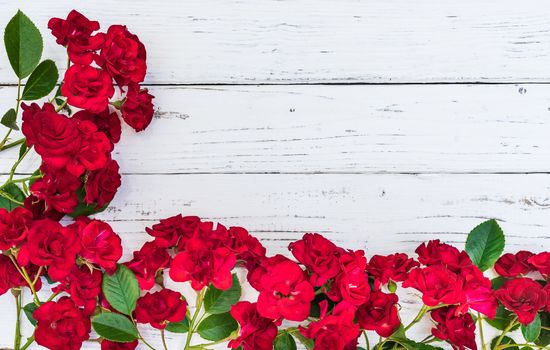 Beautiful red roses border on white wood with copy space