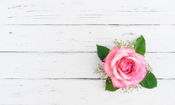 Pink rose flower head with green leaves decoration on white wood with copy space, top view