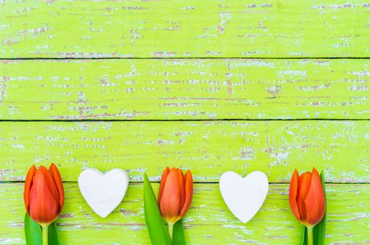 Frame with red tulip spring flowers and white hearts on green wooden background with copy space