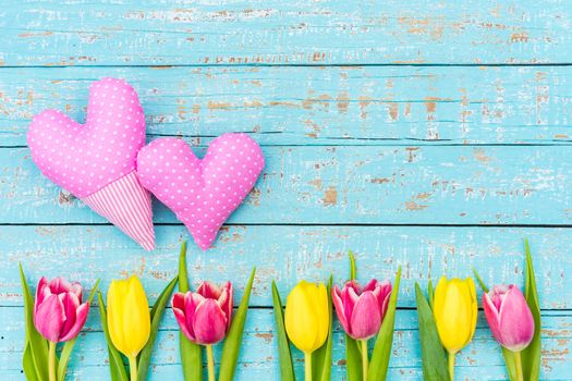 Two pink hearts with tulip spring flowers on blue wooden background with space for text