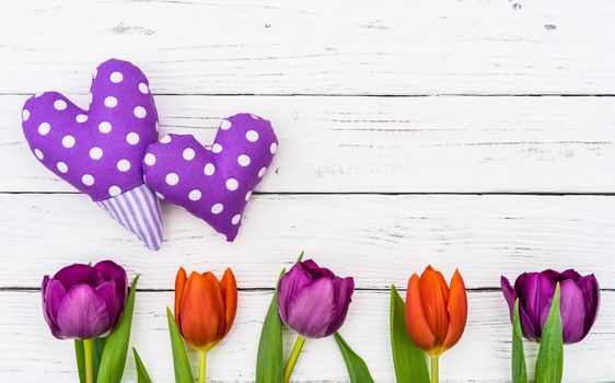 Two purple hearts with tulip flowers on white wooden background