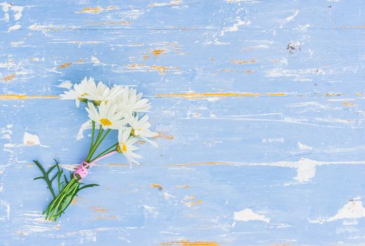Romantic bouquet of daisy chamomile flowers on blue wooden background with copy space