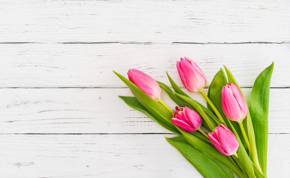 Bunch of pink tulip spring flowers on white wood with copy space