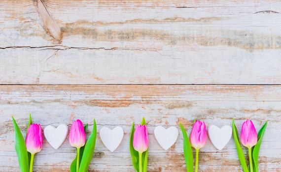 Pink tulip flowers with white hearts border on rustic wooden background with copy space