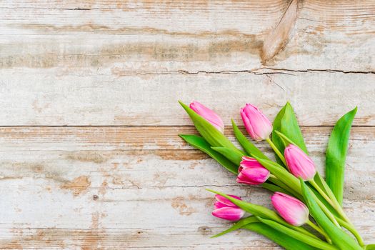 Pink tulip spring flowers arrangement on wooden background with copy space