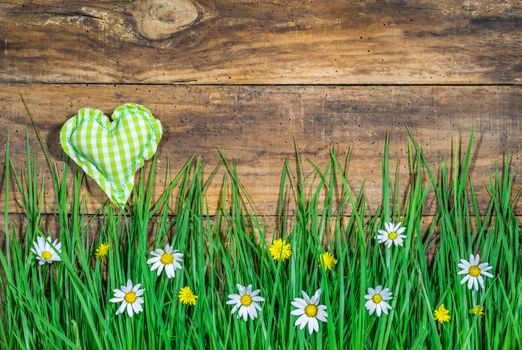 Beautiful springtime background with blooming meadow and green heart shape