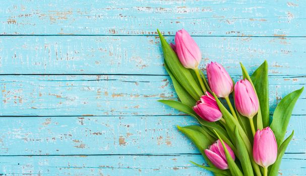 Beautiful tulip flowers on turquoise wooden background with copy space