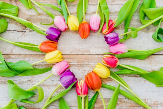 Multi-colored tulips arranged on old wooden background
