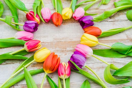 Heart shape of multicolored tulips on rustic wooden background