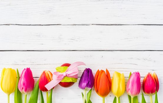 Colorful tulips flowers with easter egg on white wooden background and copy space