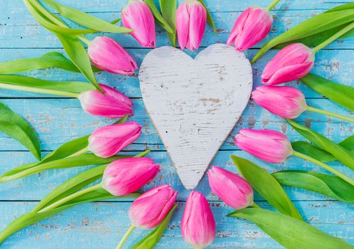 Romantic love heart with pink tulip flowers on blue wooden background