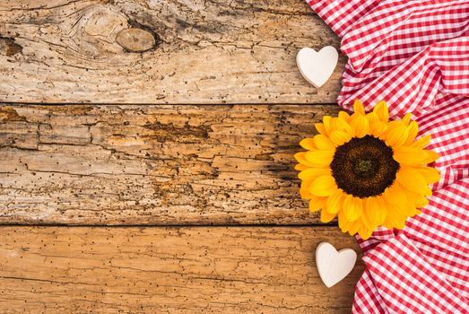 Romantic sunflower with two hearts on rustic wooden background 