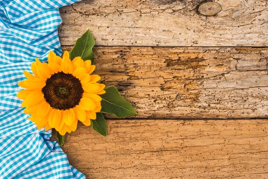 Rustic background for Oktoberfest with bavarian blue white pattern, autumn flower and copy space