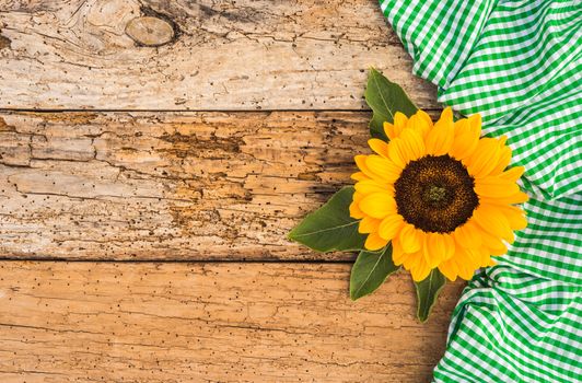 Yellow sunflower on rustic wood background with green fabric and copy space