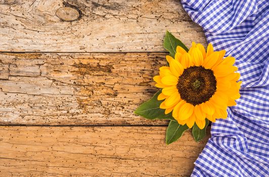 Oktoberfest background with bavarian blue white pattern and autumn sunflower decoration