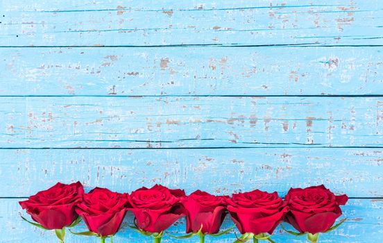 Romantic red roses border on blue wooden background with copy space