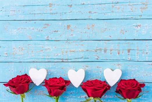 Love background with red roses and hearts frame on blue wood with copy space