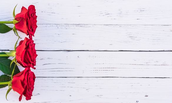 Frame of red rose flowers on white wood with copy space