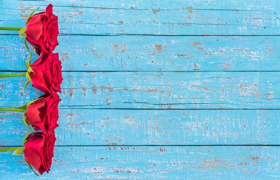 Red roses frame on blue wood, romantic flower background for Valentine day