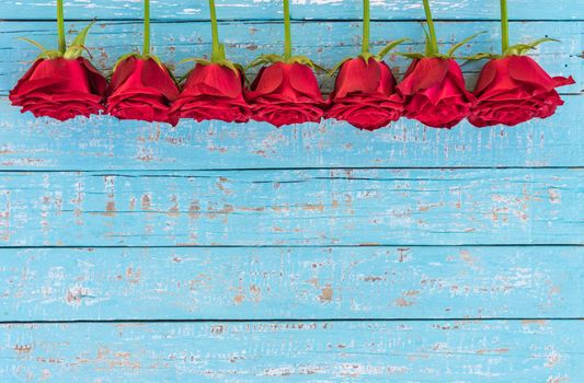 Romantic red roses frame on blue wooden background for Valentine day