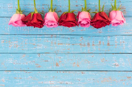Romantic pink and red rose flowers frame on blue wood background for Valentines day