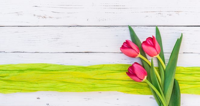 Bunch of red tulip flowers on white background with copy space