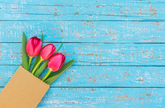 Red tulip spring flowers on blue wooden background with copy space