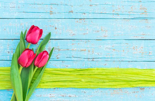 Bunch of red tulip spring flowers on turquoise background with copy space