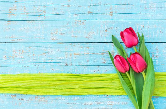 Red tulips on blue wooden background with green ribbon border and copy space