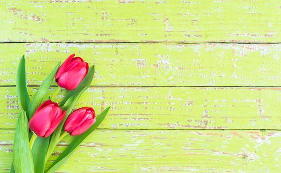 Red tulips arrangement on green wooden background with copy space