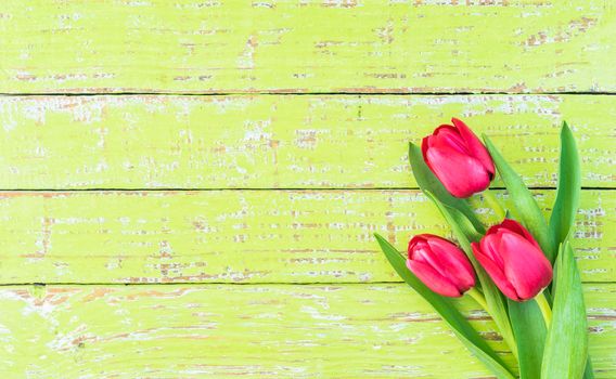 Bunch of flowers with red tulips on green wooden background with copy space