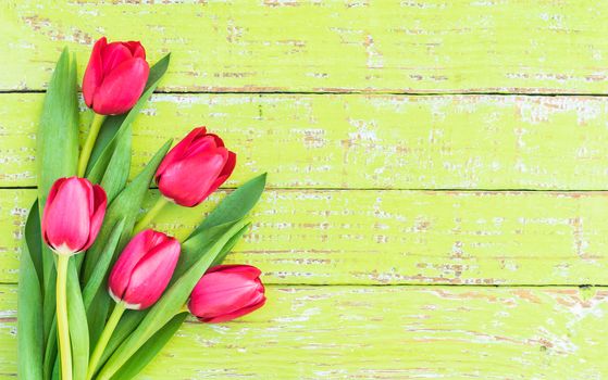 Bouquet of tulips on green wood with copy space for text