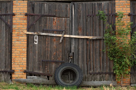 Old cowshed. Large wooden gate and dried wood. Old brick building.