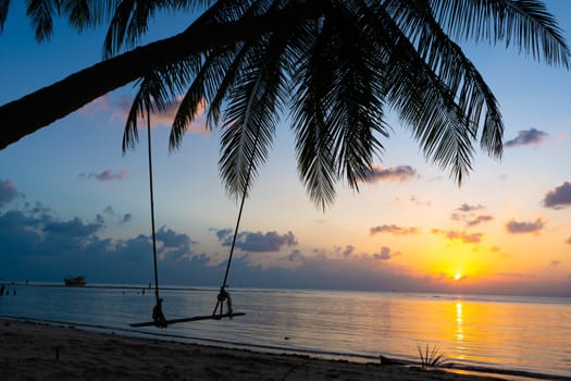 A swing hangs on a palm tree on a tropical sandy beach by the ocean. Sunset on the beach.