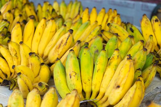 A counter with branches of yellow bananas