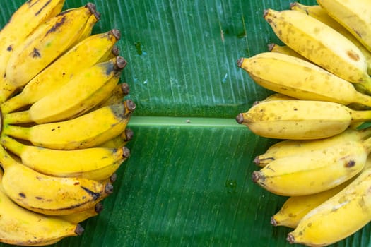 A branch of juicy yellow bananas on a green banana leaf. Ripe juicy fruits