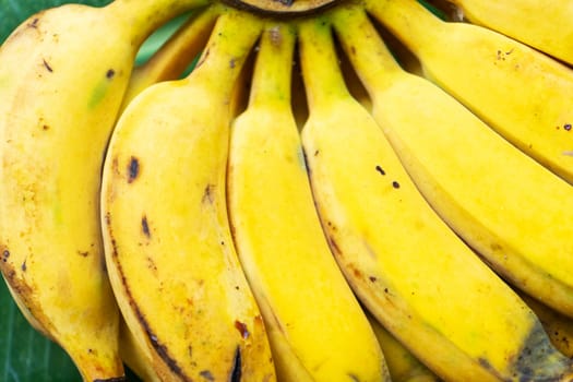 A branch of juicy yellow bananas close up
