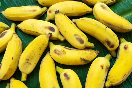 Flat lay layout of yellow bananas on a green banana leaf. Eco food.