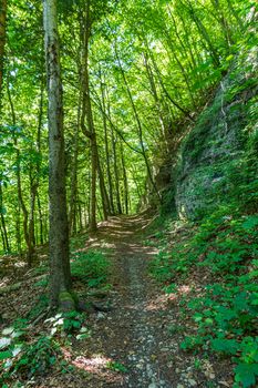 Along the panorama path in Heiligenberg at the beautiful Lake Constance