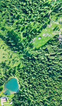 Alpin lake in summer time surrounded by beautiful forest, overhead downward aerial view.