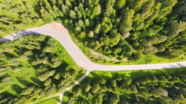 Aerial view of beautiful mountain trees in summer season.