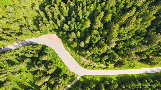 Aerial view of beautiful mountain trees in summer season.