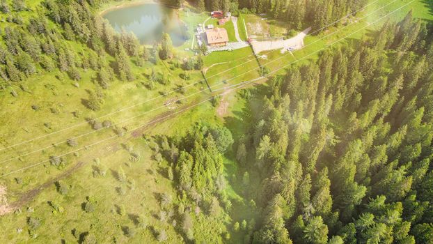 Aerial view of beautiful mountain trees in summer season.