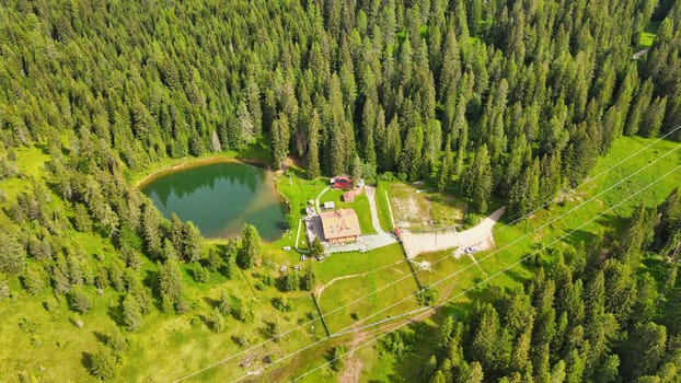 Alpin lake in summer time surrounded by beautiful forest, overhead downward aerial view.