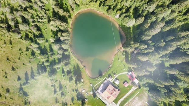 Alpin lake in summer time surrounded by beautiful forest, overhead downward aerial view.