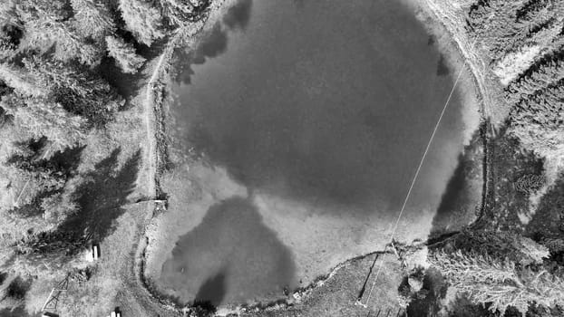 Alpin lake in summer time surrounded by beautiful forest, overhead downward aerial view.