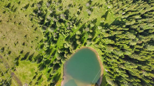 Alpin lake in summer time surrounded by beautiful forest, overhead downward aerial view.