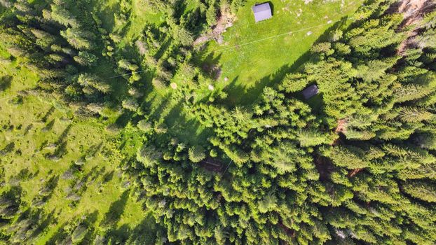 Overhead aerial view of beautiful mountain trees in summertime.